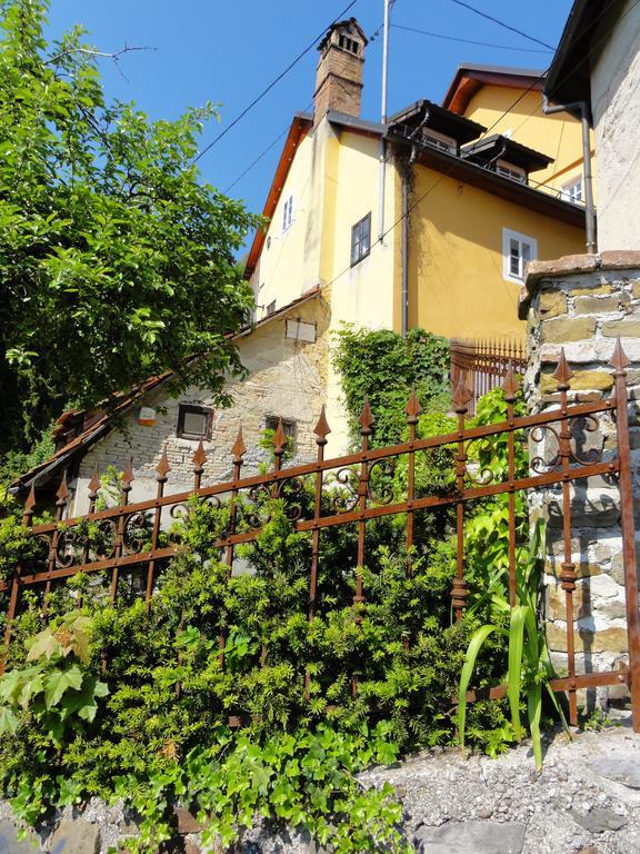 Tagrajska Lubiana