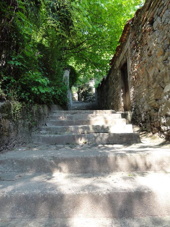 Tagrajska Appartamento *